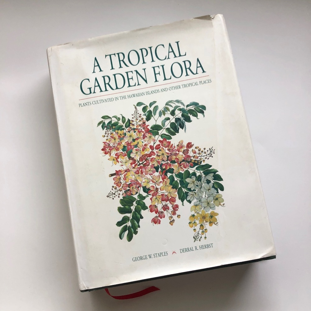 A Tropical Garden Flora